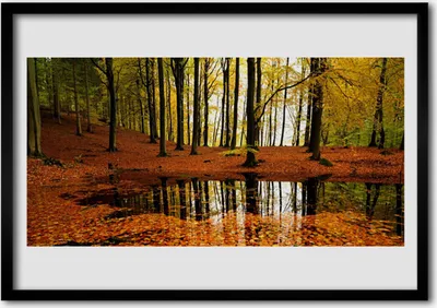 Produktbild von Bild 100x70 MDF-Rahmen Wandkunst Natur Wald Bäume