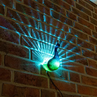 Produktbild von HI 70466 LED Solar Wandleuchte Leuchte Pfau mit Farbwechsel