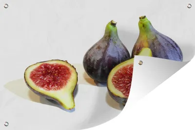 Produktbild von MuchoWow®