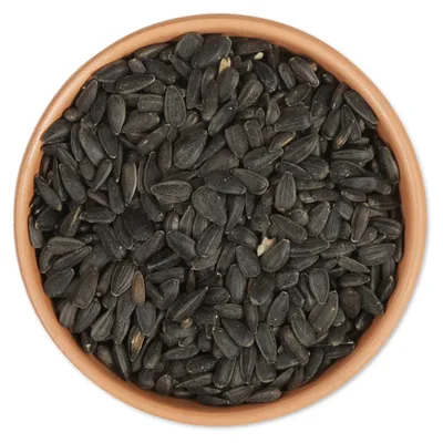 Produktbild von Gifts4Nature - Schwarze Sonnenblumenkerne für Gartenvögel - 5kg