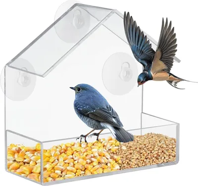 Produktbild von Vogelfutterhaus Fenster Vogelfutterspender Acryl Fenster Futterhaus für Vögel Transparent Bird Feeder mit 3 Saugnäpfen 15x15x6.3cm für Meisen, Spatzen & Wildvögel