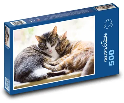 Obrázek produktu pro martinpuzzle - Puzzle 500 - Spící kočky