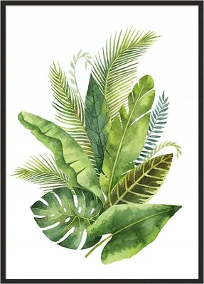 Produktbild von Bildplakat im Rahmen 43x33 cm Blätter P717