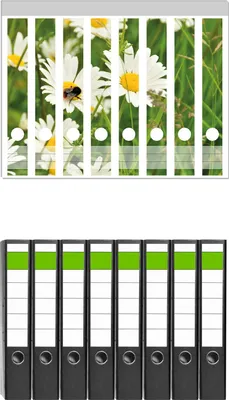 Produktbild von Wallario 8 Stück schmale Ordner inkl. Klebeetiketten mit Motive Margeritenwiese -  Set mit Rückenschildern / Ordnerrücken Stickern