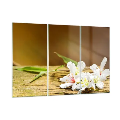 Produktbild von Bilder auf glas - Asien spa bambus blume - 165x110cm - Glasbilder - Wandbilder - Kunstdruck - zum Aufhängen bereit - Wanddekoration aus Glas - Glas Bilder - Wandbild auf Glas - GCE165x110-2499
