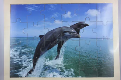 Produktbild von Out of the blue - 76/6037 - Rahmenpuzzle, Holz, Delphine, 24 Teile, ab 3 Jahre, 22cm x 30cm