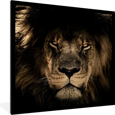 Produktbild von MuchoWow® Gerahmtes Poster Löwe - Tiere - Schwarz - Porträt 40x40 cm - Poster mit Schwarzem Bilderrahmen Wandposter Rahmen Foto Bilder - Mit Rahmen - Wanddekoration Schlafzimmer