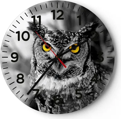 Produktbild von Wanduhr - Rund - Glasuhr - Eule Vogel Natur - 30x30cm - Schleichendes Uhrwerk - Lautlos - zum Aufhängen bereit - Dekoration Modern - Wanddekoration aus Glas - C4AR30x30-1318