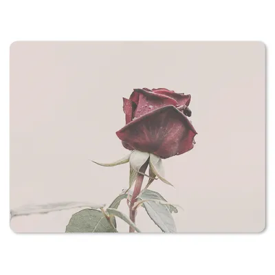 Produktbild von MuchoWow® Mauspad Mousepad Blumen - Rot - Rosen - Grün 23x19 cm - Mousepads - Maus Mat - Pad - Mausunterlage - Schreibtischunterlage - Mauspad