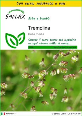 Immagine prodotto di SAFLAX Insieme di coltivazione - Tremolina - 75 semi - Briza
