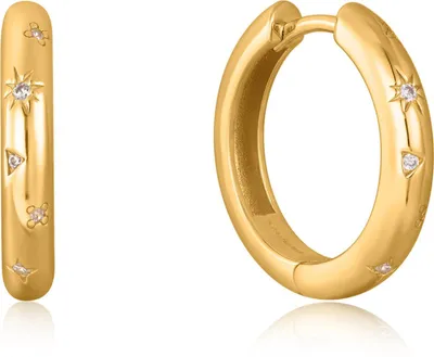 Produktbild von Ania Haie Jewellery E034-06G Ohrringe