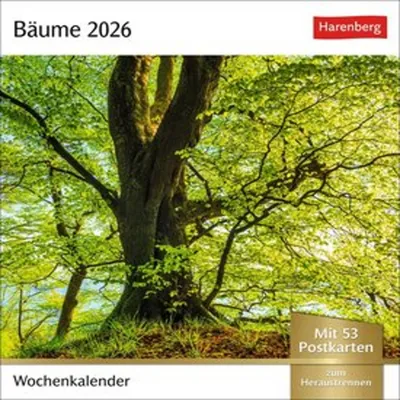 Produktbild von Bäume Postkartenkalender 2026 - Wochenkalender mit 53 Postka