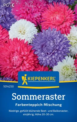 Produktbild von Kiepenkerl Sommerastersamen Farbenteppich 40 Pflanzen