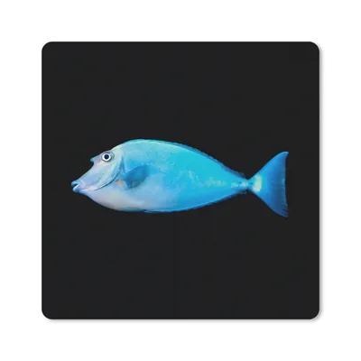 Produktbild von MuchoWow® Mauspad Mousepad Fische - Meerestiere - Schwarz 30x30 cm - Mousepads - Maus Mat - Pad - Mausunterlage
