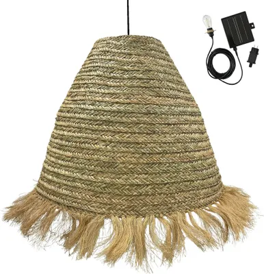 Produktbild von Solaranhänger ANAFI BIG d100cm