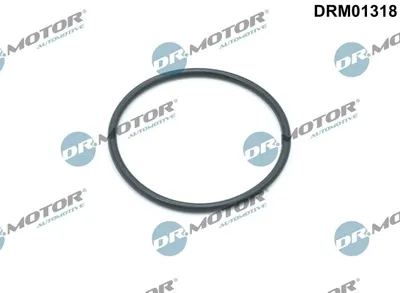 Produktbild von DR.MOTOR AUTOMOTIVE Ölfiltergehäuse-Dichtung DRM01318 für JAGUAR F-PACE (X761)