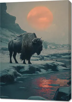 Produktbild von Wandbild Bisonmonolith 70x100cm, Motiv Wisent auf schneebedecktem Terrain mit roter Sonne