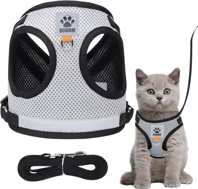 Produktbild von Katzengeschirr, ausbruchssicher, grau M, verstellbar, atmungsaktiv, für Spaziergang