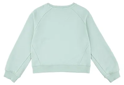 Produktbild von LEVI'S Girl's FW-Crew Sweatshirt, Celadon, 4 Jahre