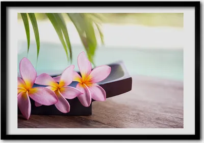 Produktbild von Bild - Bilder - Bilderrahmen - 70 cm x 50 cm - MDF-Rahmen, Wandkunst Plumeria
