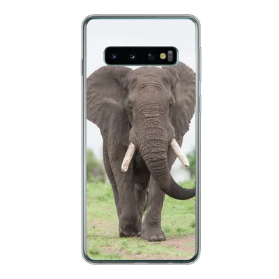 Produktbild von MuchoWow® Handyhülle Schutzhülle Hülle für Samsung Galaxy S10 Elefant - Tiere - Gras - Natur Silikon Softcase Handy Hülle - Handytasche