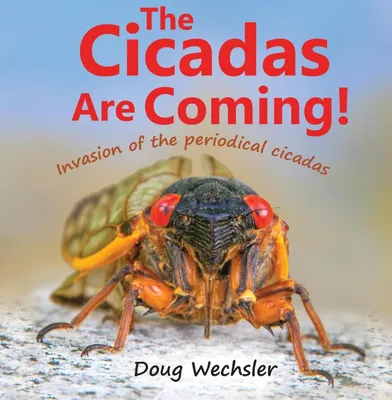 Image de The Cicadas Are Coming!