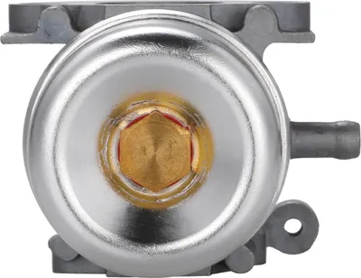 Immagine prodotto di Carburatore per Briggs & Stratton 799871 790845 799866 796707 794304