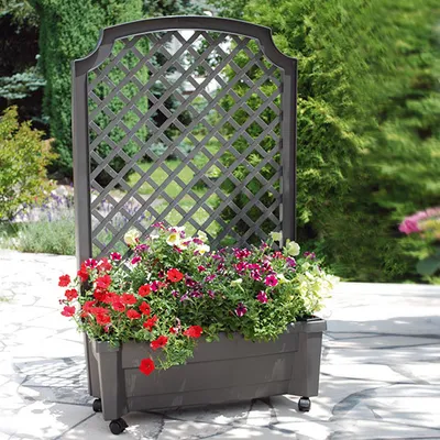 Produktbild von KHW Pflanzkasten "Calypso" mit Bewässerungssystem, Spalier und Rollen 79 cm x 35 cm x 134 cm, Farbe Anthrazit
