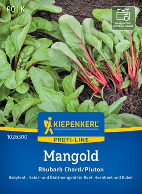 Artikelbild 2 von 'Mangold Rhubarb Chard/Pluton' aus der Kategorie Mangoldsamen