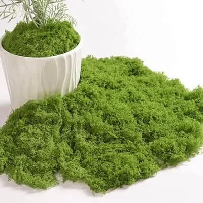 Zdjęcie produktu dla Mata mchu sztuczny zielony 100X100 cm do obrazów ścian DIY