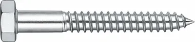 Obrázok produktu pre Kellner & Kunz Skrutka s šesťhrannou hlavou 8x60 mm DIN 571 KL pozinkovaná, 1 ks.