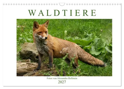 Produktbild von Waldtiere (Wandkalender 2027 DIN A3 quer), CALVENDO Monatskalender