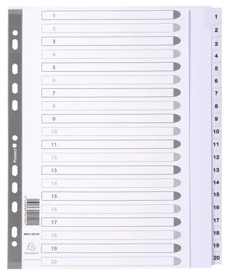 Image de Exacompta index plastifié 20 onglets 1 à 20 DIN A4 Maxi Blanc