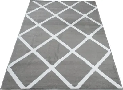 Image de Tapis LUXURY Moderne Blanc Gris Salon 300 x 400 cm