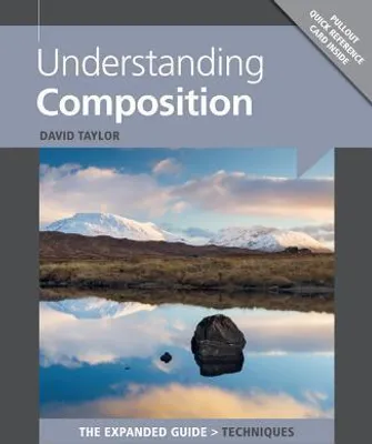 Produktbild von Understanding Composition