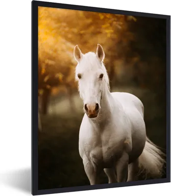Produktbild von MuchoWow® Gerahmtes Poster Pferd - Licht - Sonne 60x80 cm - Poster mit Schwarzem Bilderrahmen Wandposter Rahmen Foto Bilder - Premium - Wanddeko Wohnzimmer