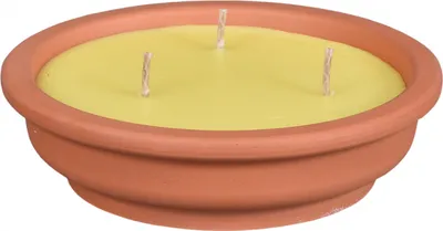 Obrázek produktu pro Nohel Garden Svíčka CITRONELLA žardinka 180g d14x4cm