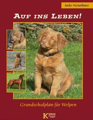 Immagine prodotto di Auf ins Leben: Grundschulplan für Welpen