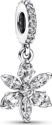 Produktbild von Pandora Dangle Charm 792382C01 Sparkling Herbarium Cluster in 925 Sterling Silber mit Zirkonia