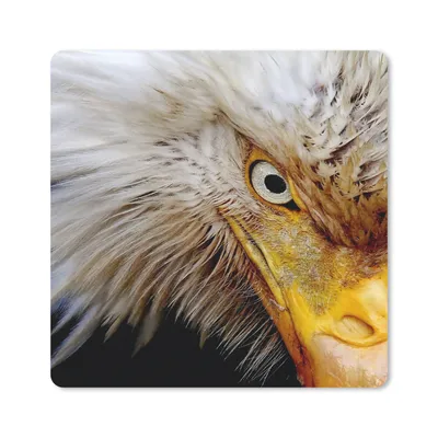 Produktbild von MuchoWow® Mauspad Mousepad Vogel - Auge - Schnabel 20x20 cm - Mousepads - Maus Mat - Pad - Mausunterlage - Desk Mat - Bureauartikeln