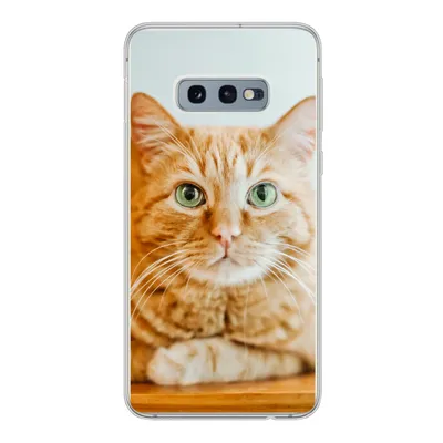 Produktbild von MuchoWow® Handyhülle Schutzhülle Hülle für Samsung Galaxy S10e Katze - Holz - Schrank Silikon Softcase Handy Hülle - Handy
