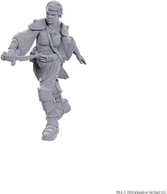 Produktbild von D&D Nolzurs wunderbare Miniaturen – Haudegen