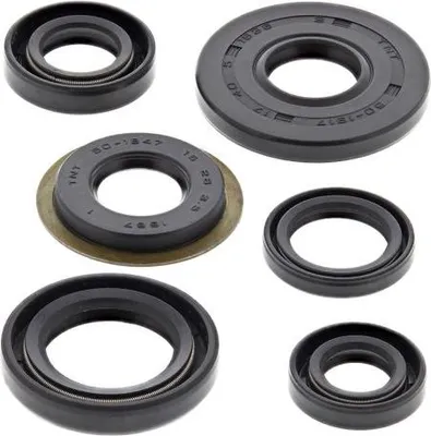 Obrázek produktu pro Sada motorových těsnění WINDEROSA W822307