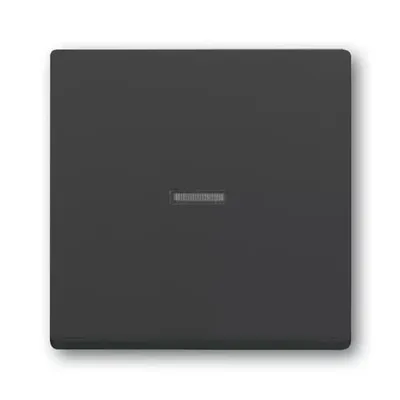 Immagine prodotto di Bilanciere Busch-Jaeger 1789 N-81 2CKA001751A3147