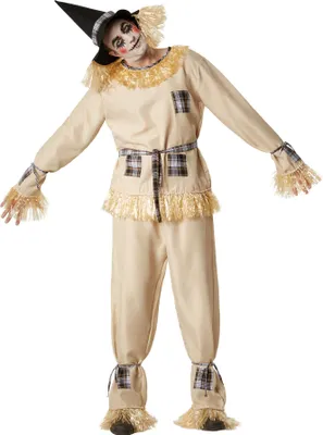 A person wearing a scarecrow costume.