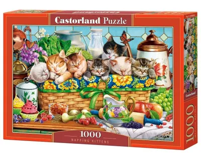 Obrázok produktu pre Puzzle 1000 dielov Spiace mačiatka 105069 Castorland