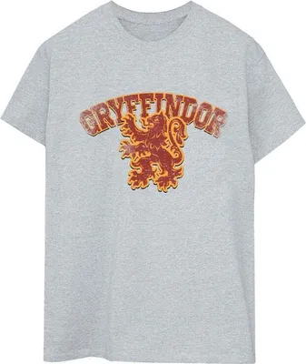 Produktbild von Harry Potter - "Gryffindor" T-Shirt für Damen BI26122 (L) (Grau)