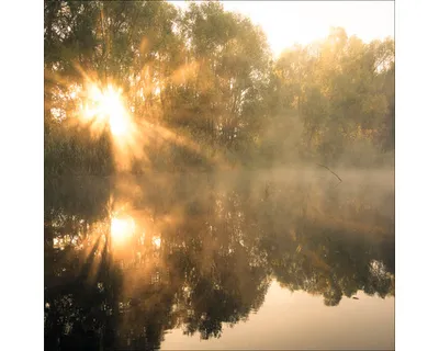 Produktbild von Glasbild Sun At The Pond 30x30 cm