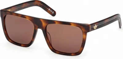 Zdjęcie produktu dla Okulary przeciwsłoneczne Adidas Originals OR0140 Dark Havana 55/17/140 – model uni