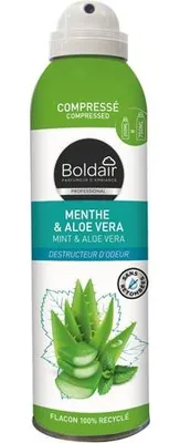 Productafbeelding van Boldair Geconcentreerde geurverspreider Munt en Aloë, 250 ml - Boldair